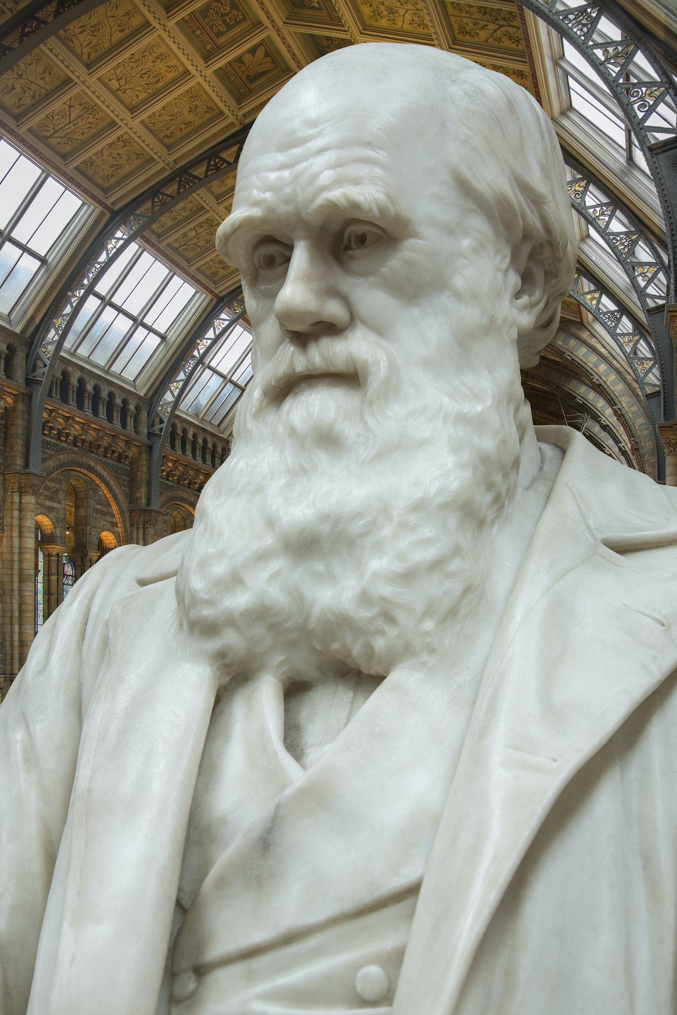 Charles Darwin - Natural History Museum - London